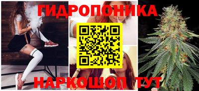 прущий лед Аша