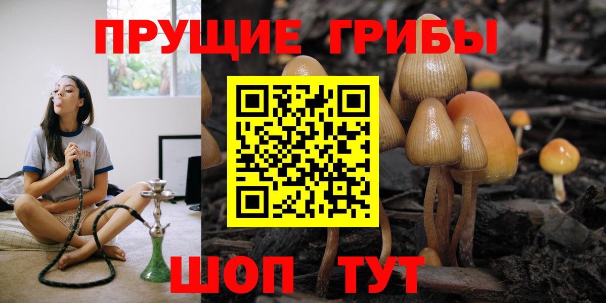 Псилоцибиновые грибы MAGIC MUSHROOMS  Вход с VPN  Гай  Галлюциногенные грибы GOLDEN TEACHER 